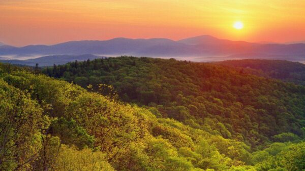 Top 10 Places to live in North Carolina